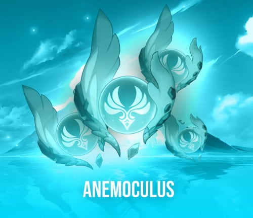 ALL ANEMOCULUS COLLECTING